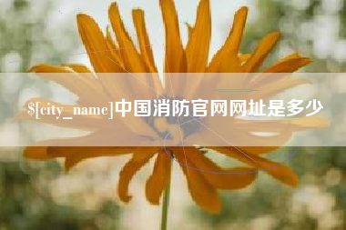 西宁中国消防官网网址是多少