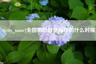西宁全国消防日是每年的什么时候