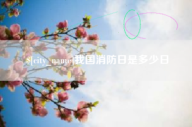 西宁我国消防日是多少日