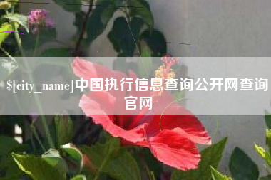 西宁中国执行信息查询公开网查询官网