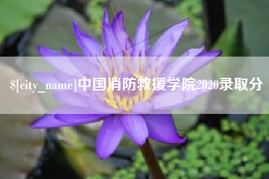 西宁中国消防救援学院2020录取分