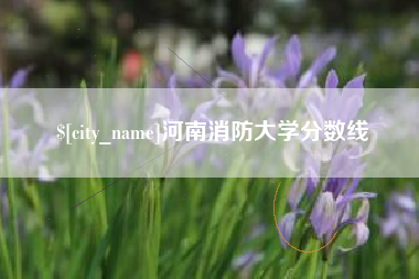 西宁河南消防大学分数线