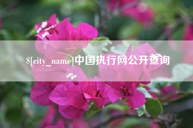 西宁中国执行网公开查询