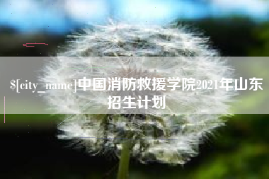 西宁中国消防救援学院2021年山东招生计划