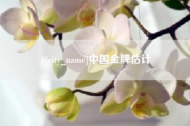 西宁中国金牌估计
