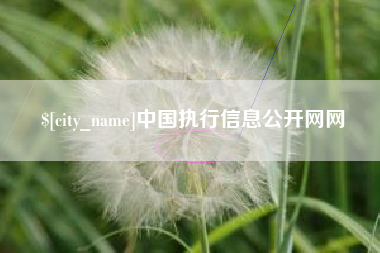西宁中国执行信息公开网网