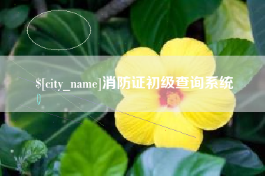 西宁消防证初级查询系统
