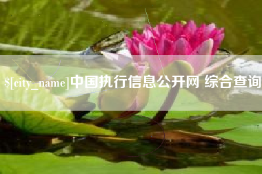 西宁中国执行信息公开网 综合查询