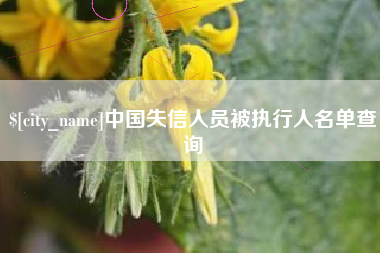 西宁中国失信人员被执行人名单查询