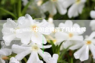 西宁中国金牌得了几枚金牌