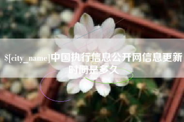 西宁中国执行信息公开网信息更新时间是多久