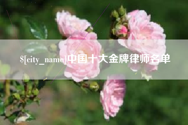 西宁中国十大金牌律师名单