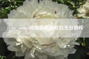 西宁河南消防学校招生分数线