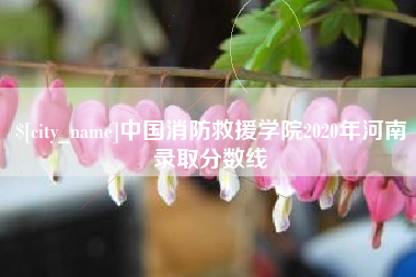 西宁中国消防救援学院2020年河南录取分数线