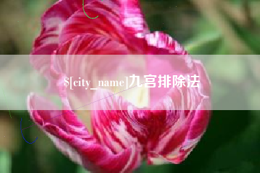 西宁九宫排除法