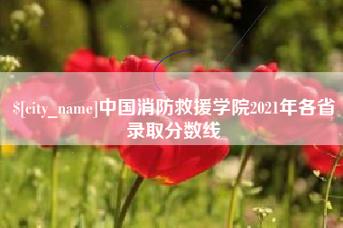 西宁中国消防救援学院2021年各省录取分数线