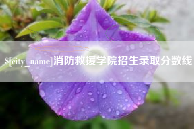 西宁消防救援学院招生录取分数线
