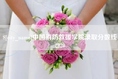 西宁中国消防救援学院录取分数线2020