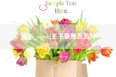 西宁王子豪是怎么写
