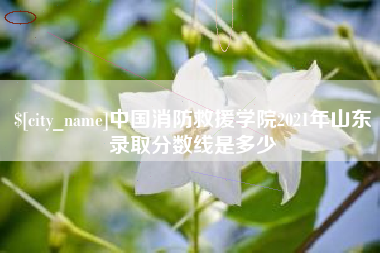 西宁中国消防救援学院2021年山东录取分数线是多少