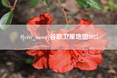 西宁谷歌卫星地图2025