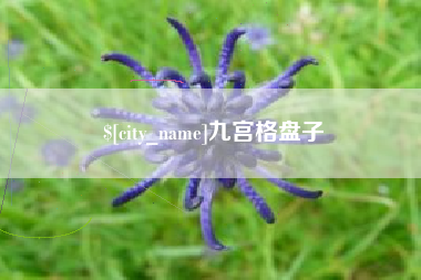 西宁九宫格盘子