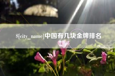 西宁中国有几块金牌排名