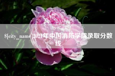 西宁2021年中国消防学院录取分数线