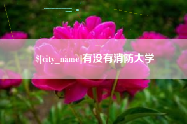 西宁有没有消防大学
