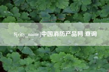 西宁中国消防产品网 查询