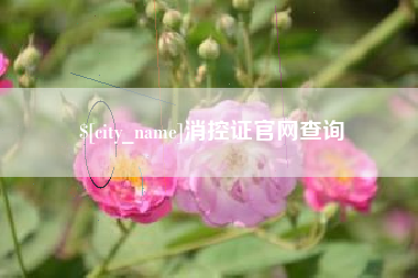 西宁消控证官网查询