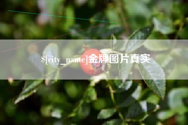 西宁金牌图片真实