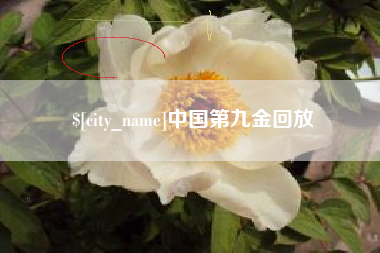 西宁中国第九金回放