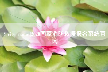 西宁2020国家消防救援报名系统官网