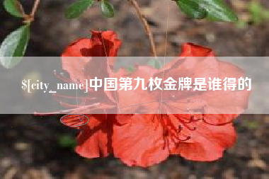 西宁中国第九枚金牌是谁得的