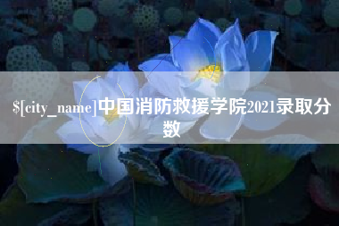 西宁中国消防救援学院2021录取分数