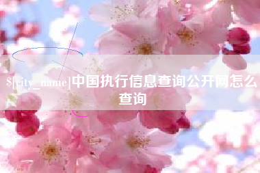 西宁中国执行信息查询公开网怎么查询
