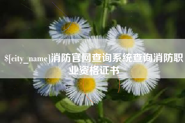 西宁消防官网查询系统查询消防职业资格证书