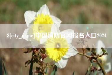 西宁中国消防官网报名入口2024