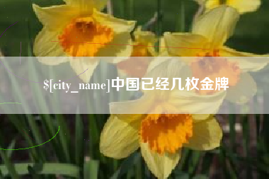 西宁中国已经几枚金牌