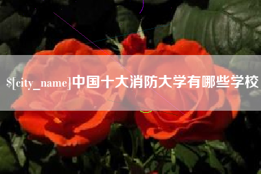 西宁中国十大消防大学有哪些学校