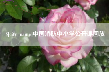 西宁中国消防中小学公开课回放