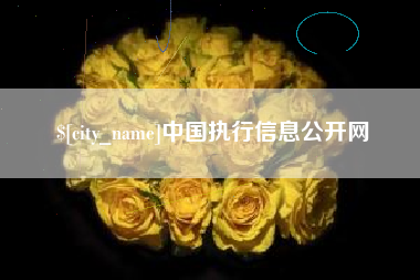 西宁中国执行信息公开网