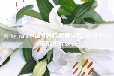 西宁中国消防救援学院2020年在山东招生计划表
