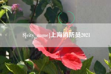 西宁上海消防员2021