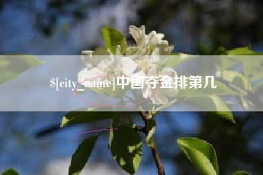 西宁中国夺金排第几