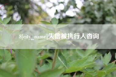 西宁失信被执行人杳询