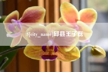 西宁邱县王子磊