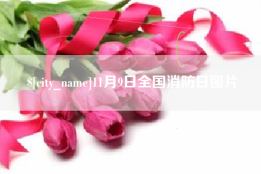 西宁11月9日全国消防日图片
