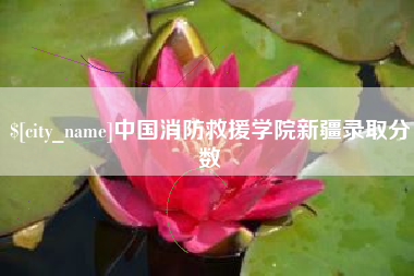 西宁中国消防救援学院新疆录取分数
